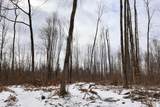  Long Lake Road - Photo 37