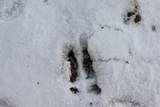  Long Lake Road - Photo 4
