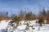  Walker Road - Photo 6