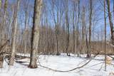  Walker Road - Photo 8