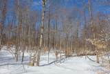  Walker Road - Photo 5