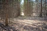 Parcel C&D Grant - Photo 10
