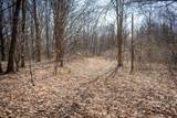 Parcel C&D Grant - Photo 18
