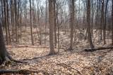 Parcel C&D Grant - Photo 27