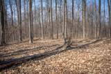 Parcel C&D Grant - Photo 28