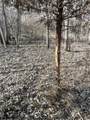 8453 Durand Road - Photo 21