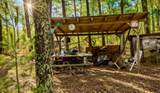 3194 Warfield Road - Photo 8