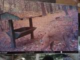 00 Del Vandell Rd. - Photo 49