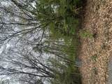 V/L Raintree - Photo 11