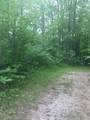  Elm Drive - Photo 4