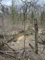 0 Linderman Road - Photo 3
