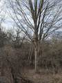VL Harper Road - Photo 1