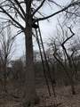 VL Harper Road - Photo 22