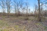 V/L-2 Red Bud Trail - Photo 9