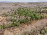 V/L Townline Road - Photo 10
