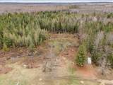 V/L Townline Road - Photo 11