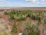 V/L Townline Road - Photo 12