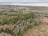V/L Townline Road - Photo 8
