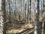 V/L Pine Hill Avenue - Photo 1