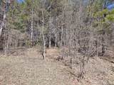 V/L Pine Hill Avenue - Photo 2