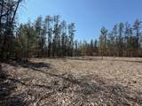 5209 Nelson Road - Photo 3