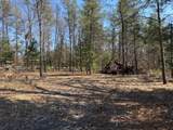 5209 Nelson Road - Photo 6