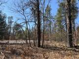 5209 Nelson Road - Photo 8