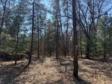 5209 Nelson Road - Photo 9