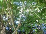 509 State Street - Photo 3
