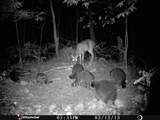 1621 Baker Road - Photo 29