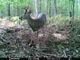 1621 Baker Road - Photo 30