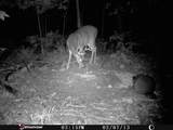 1621 Baker Road - Photo 33