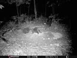 1621 Baker Road - Photo 34