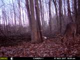 1621 Baker Road - Photo 37