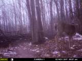 1621 Baker Road - Photo 38
