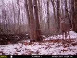 1621 Baker Road - Photo 40