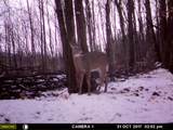 1621 Baker Road - Photo 45