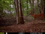 1621 Baker Road - Photo 56