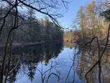 VL Mill Pond Trail - Photo 1