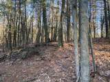 VL Mill Pond Trail - Photo 11