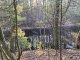VL Mill Pond Trail - Photo 3