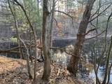 VL Mill Pond Trail - Photo 5