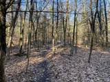VL Mill Pond Trail - Photo 6