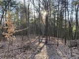 VL Mill Pond Trail - Photo 7