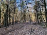 VL Mill Pond Trail - Photo 8