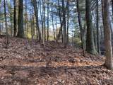 VL Mill Pond Trail - Photo 9