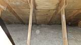 7731 White Birch Drive - Photo 36