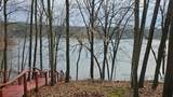7731 White Birch Drive - Photo 6