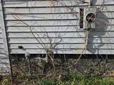 707 Eaton Street - Photo 5