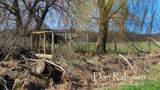 1185 11 Mile Road - Photo 10